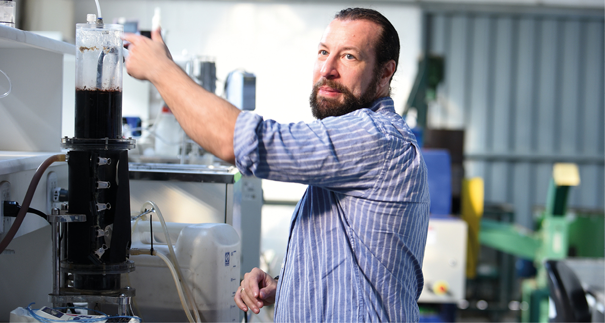 Microalgas e soro de queijo oferecem fontes de bioenergia